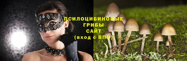а пвп мука Коряжма