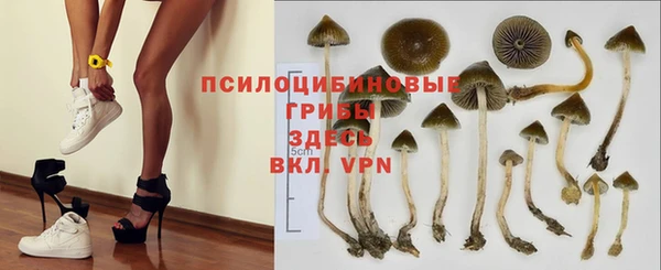 бутират Костерёво