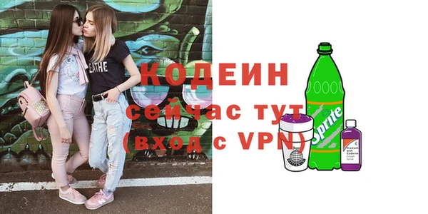 дживик Краснослободск
