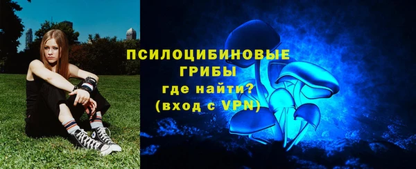 а пвп мука Коряжма